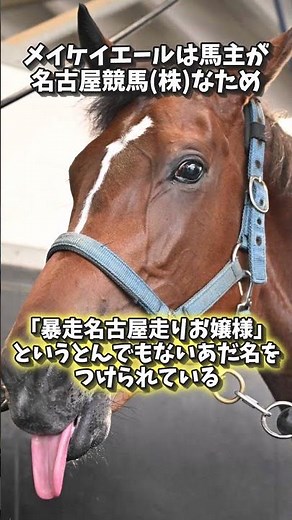 The Runaway Maiden!! Trivia about Meikei Yell! #shorts #horseracing #umamusume #MeikeiYell