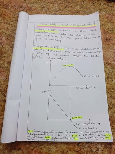Total and Marginal Utility Economics #shortsfeed