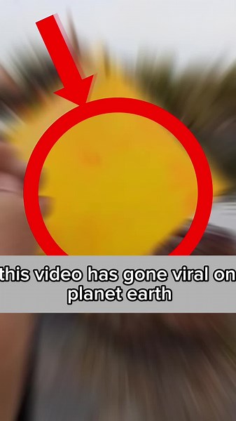 Art✨. #viral_video #art #fyp