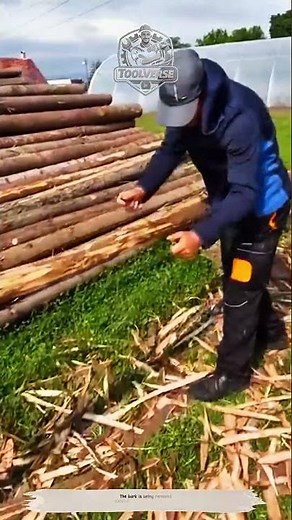 Log Debarking Process – Removing Tree Bark with Traditional Woodworking Techniques