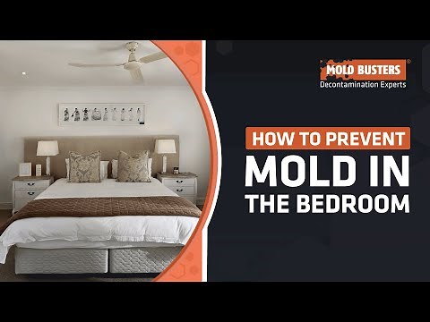 How To Prevent Mold in The Bedroom - Mold Busters