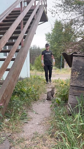 1.8K views · 646 reactions | Specialist Tactical Animal Relief...