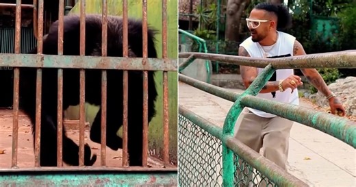 Is Yulién Oviedo mocking Chocolate MC? He appears dancing "Guachineo" alongside a chimpanzee in the middle of the zoo