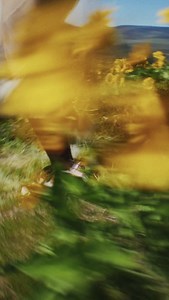 513 reactions · 6 comments | Introducing HOKA x PROBA: Energy of Joy...