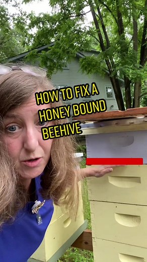 Honeybound Hive: How to Fix & What to Do