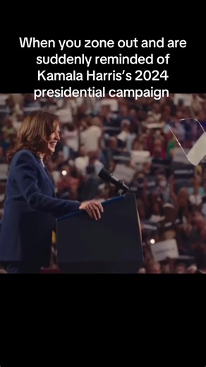 Kamala Harris's 2024 Presidential Campaign Insights