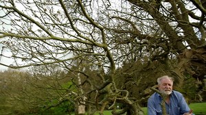 They dot our landscapes, but do you know how they survive and thrive? Having lived through centuries of climate changes, discover how a 400-year-old oak tree meets the challenges of the four seasons and adapts to its surroundings. Don't miss Oak Tree: Nature's Greatest Survivor, available now online and airing at 8pm tonight: https://www.knowledge.ca/program/oak-tree-natures-greatest-survivor | Knowledge Network | Facebook