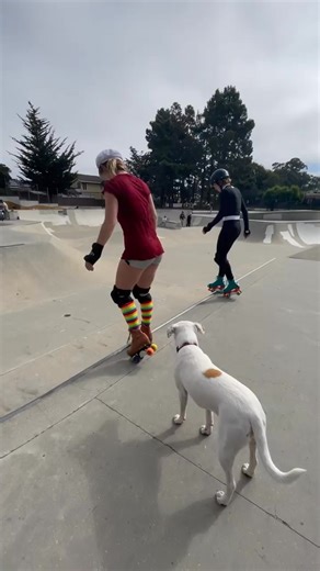 Duos with and s o to for teaching me the backside boneless and around the worlds yesterday 敖敖✨ | jammalynnflower | Facebook