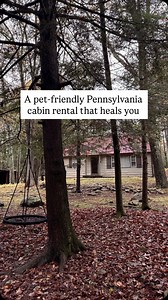 13K views · 369 reactions | Comment NEST and I’ll send you the...