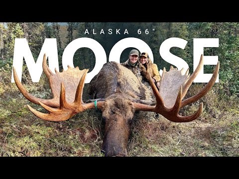 BBB Alaska- Girl Shoots 66” Moose