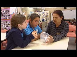 Indigenous Perspectives in primary science: The 5E model - Elaborate