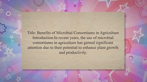 Benefits of Microbial Consortiums in Agriculture