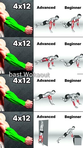 Best Forearm Workout at Home 💪Beginner to Advanced Push-Up Variations 4x12 Sets#strongabs #shoulder