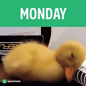 Happy Friday! | Grammarly