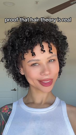 Hair Theory vs. TikTok: Explained and Compared