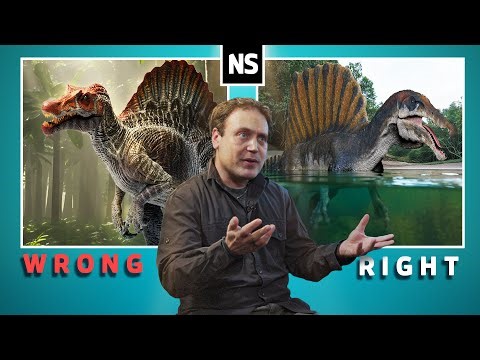 Have Scientists Finally Figured Out The Spinosaurus?