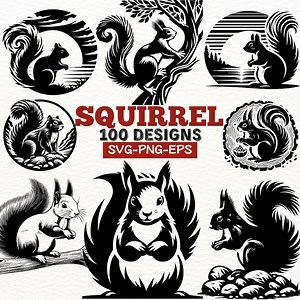 Squirrel SVG Bundle, 100 Squirrel Silhouette Designs, Forest Animal Clipart, Wildlife Vector Files, Cricut & Laser Cut Files, PNG EPS Set - Etsy