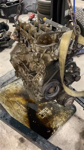 Shoptivities 😂👨🏽‍🔧 Motor Swaps ain’t ever fun 😂 I’m noticing a trend in ford jumping timing 😭 #engineswap #ford #fordsofinstagram #carsofinstagram #mechanic #cars #mechanicproblems #mechaniclife #harborfreight #longnightsearlymornings #fordfusionclub #fordfusion #engines | Alex Deitch