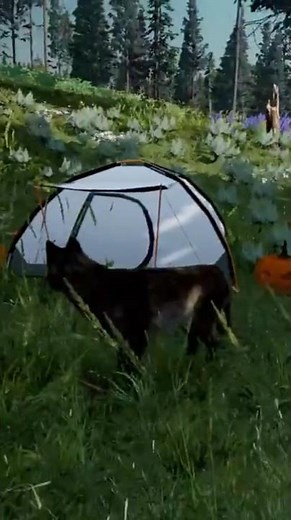 Where to Find the Tent in Amethyst Mountain #wolfquest