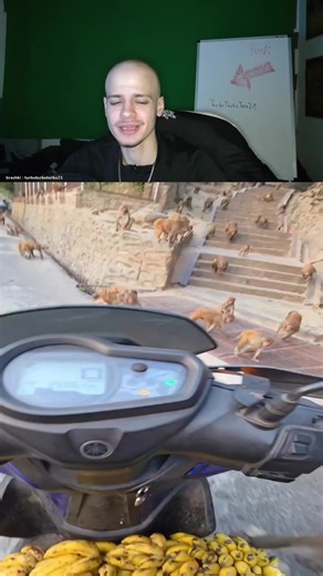 Funny German Memes Compilation