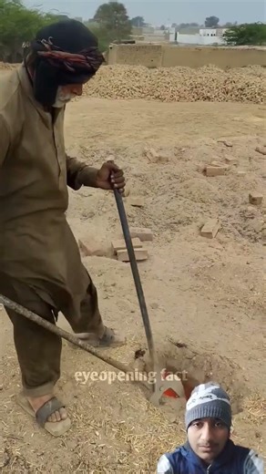 Indian AIDS vs European eats #facts #wood #trendingreels #viralvideos #support