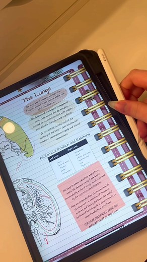 🩺✍🏻רוצים לסכם מסודר ויפה? יש לכם אייפד / טאבלט ? מעולה!! תכירו את הפלאנר הדיגיטלי שמכיל 12 מחברות דיגיטליות מעוצבות, יומן עם תאריכים עד סוף שנת 2025, 200 מדבקות והכל במקום אחד🤯 קולטים?!?! ללימודים חוזרים רק עם המחברות של הפלאנר הדיגיטלי 🫶🏻 קישור בביו לפרטים נוספים והזמנות 📚🫀 #mydigitalplannerrs #aesthetic #thatgirl #פלאנרדיגיטלי #יומןדיגיטלי #מחברתדיגיטלית #אייפד #סטודנטים #ניהולזמן #טיפים #סיכומים #רפואה #ביולוגיה #אנטומיה #תיכון #מורים #תלמידים #ביתספר #חופשגדול #לומדים_עם_טיקטוק #סטודנ