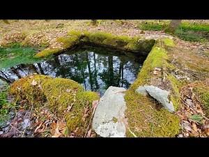 Hiking the Freetown State Forest Bioreserve Loop Boiling Spring Trail