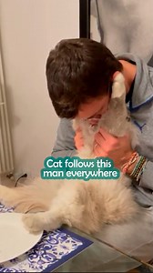 Man teaches cat to swim 🌊 #catdad #catswimming #cuddlebuddies | Cuddle Buddies