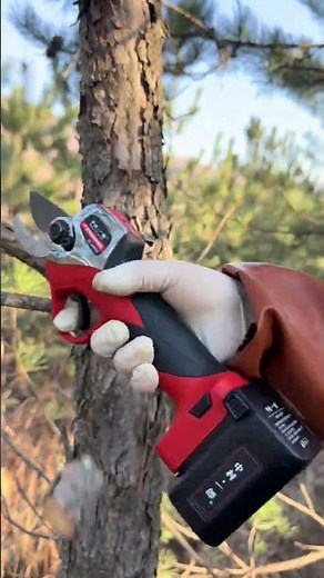 Powerful Electric Pruner – Easy Tree Branch Cutting 🌳⚡#pruning #stysifiying