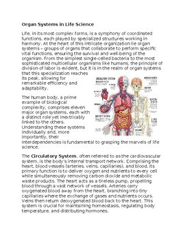 Organ Systems Worksheet for Sub-Plan or Classwork & Homework