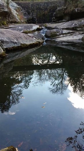 Check out this Illinois State Park! #amazing #fun#travel#hike#retiredandroadtripping