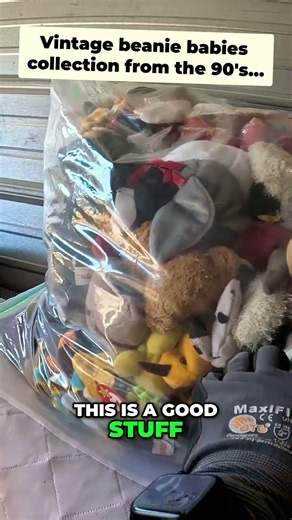 Huge bag of beanie babies found in locker #LockerNuts #beaniebabies
