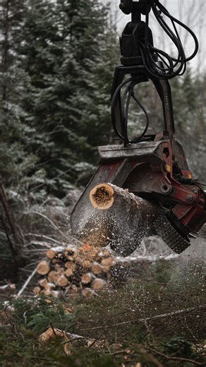 Environmental reporter Emmett Gartner spoke with loggers, woodland owners, and representatives from the industry to hear how they are grappling with the Trump administration’s latest tariffs on Canadian timber. Read more on how this affects Maine's timber industry at the link below. https://themainemonitor.org/loggers-tariff-impact | The Maine Monitor