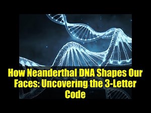 How Neanderthal DNA Shapes Our Faces: Uncovering the 3-Letter Code