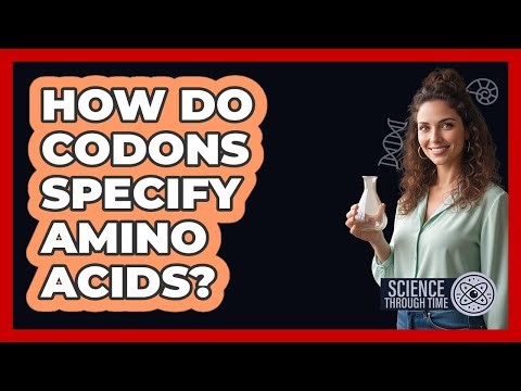 How Do Codons Specify Amino Acids?