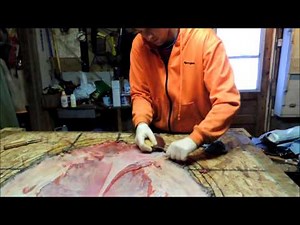 Beaver Fleshing part1 Ulu knife