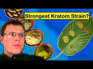 What are the Main Differences Between Kratom Strains - green, red, yellow, white | Powder vs Extract