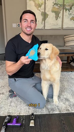 Golden Retriever Pawdicure Tutorial: Grooming Tips & Tricks