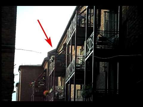 The House of Euronymous [2010 Oslo]