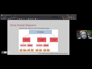 Simulation-based inference with R for ANOVA design experiments with Vimal Rao