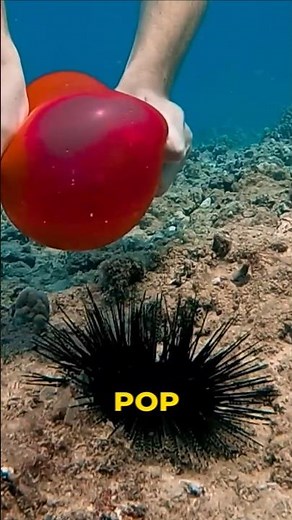 Did It Implode Or Explode?