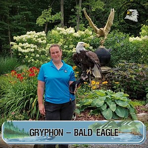 As we wrap up this year's incredible Give716, the team at Hawk Creek would like to extend our most sincere gratitude to everyone who has supported our work. It's thanks to the generosity of people like YOU that together we are able to say "yes" to animals in need! The fun isn't over yet- you can still double your support during the 5:00PM Wegmans power hour, and the 6:00PM Key Bank power hour! Plus, starting at 7:00PM you can grab a Shop 716 gift card (First 325 donors of $71.60 or more) or a SI