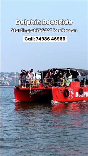 Dolphin Watching in Goa 🐬🌊 | Boat Ride Starting at ₹250 | North Goa Experience
