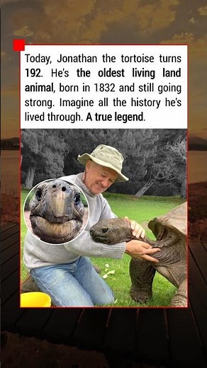 Jonathan the Tortoise Turns 192! The Oldest Living Land Animal