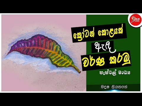 ක්‍රෝටන් කොළයක් අඳිමු | How to draw croton leaves | පැස්ටල් මාධ්‍ය | ක්‍රෝටන් කොළ |Art Tutorial