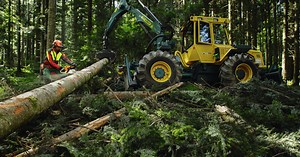 Sécurité du travail en forêt: éviter les accidents