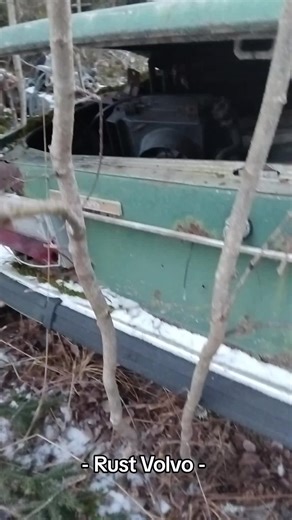 Exploring a Volvo 144 in the Junkyard
