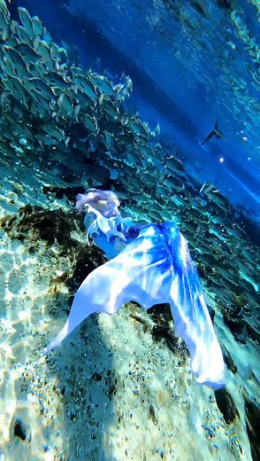 🐟🐟🐟 #thewanderingmermaid #moon #koi #fish #mermaid #underwater #bubbles #siren #swim #spin #mermaidtail #mermaidhair #dive #florida #h2o #swimming