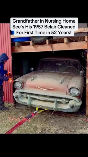 176K views · 2.6K reactions | Yoel rabbit oficial @fans destacados@seguidores | Yoel rabbit oficial | Facebook