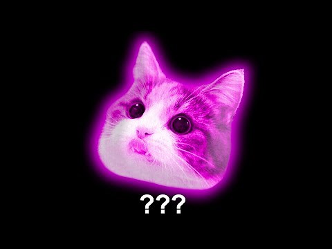 15 Kitten "Meow" Sound Variations in 60 Seconds